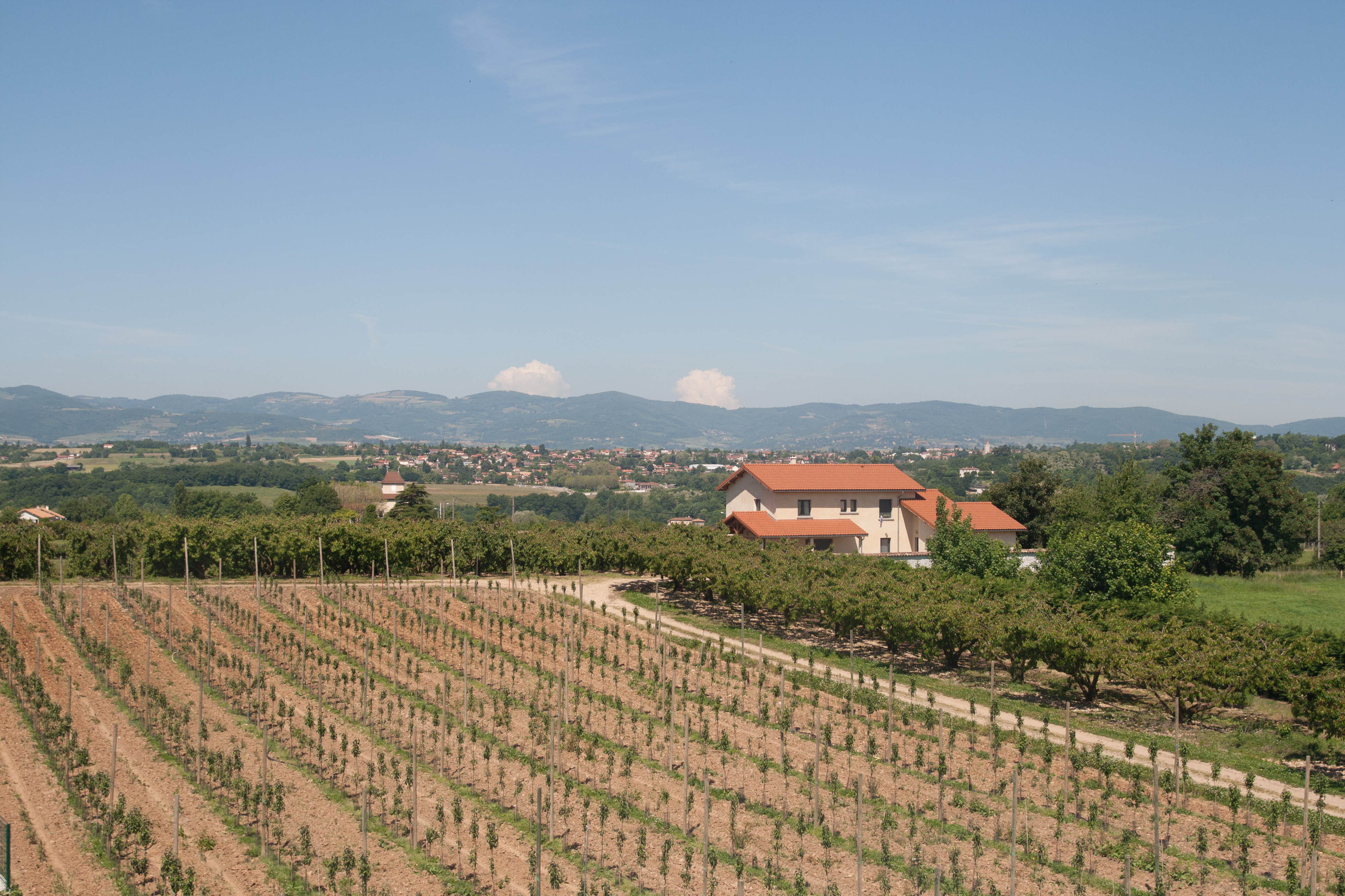 Domaine Dumas Fruits — vergers en vallée du Rhône